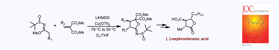 47. One-Pot Synthesis of Multisubstituted Butyrolactonimidates: Total Synthesis of (-)-Nephrosteranic Acid