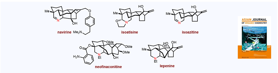 51. Ongoing Pursuit of Diterpenoid Alkaloids: A Synthetic View