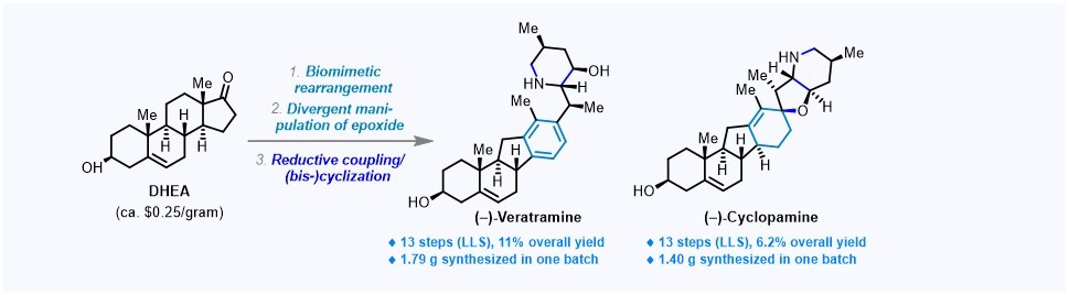118. Divergent and gram-scale syntheses of (–)-veratramine and (–)-cyclopamine